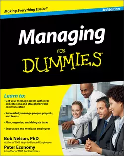 Managing For Dummies, Peter Economy