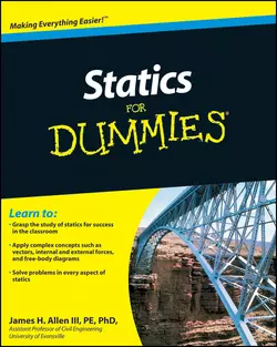 Statics For Dummies, James Allen