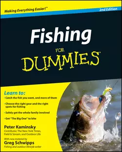 Fishing for Dummies, Peter Kaminsky