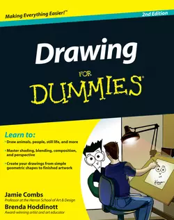 Drawing For Dummies, Brenda Hoddinott