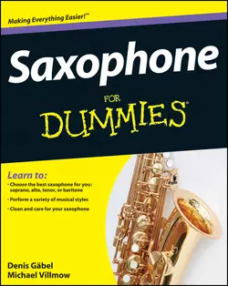 Saxophone For Dummies, Michael Villmow