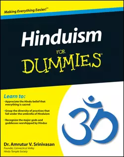 Hinduism For Dummies, Amrutur Srinivasan