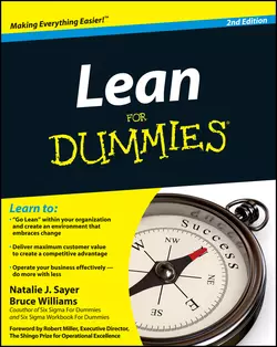 Lean For Dummies, Bruce Williams