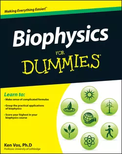 Biophysics For Dummies, Ken Vos