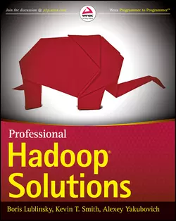 Professional Hadoop Solutions, Boris Lublinsky