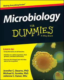 Microbiology For Dummies, Jennifer Stearns