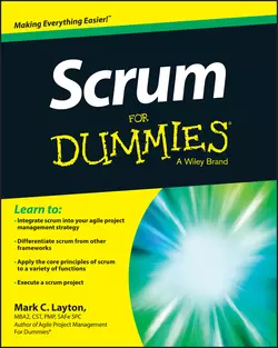 Scrum For Dummies Mark Layton