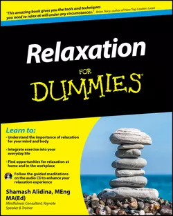 Relaxation For Dummies, Shamash Alidina