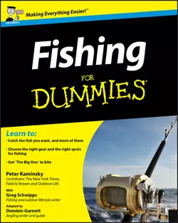 Fishing For Dummies, Peter Kaminsky