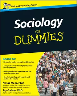 Sociology For Dummies Jay Gabler и Nasar Meer