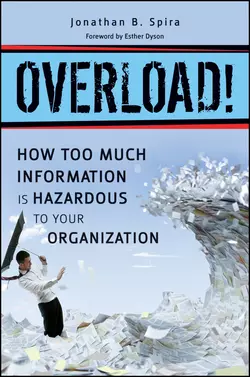 Overload! How Too Much Information is Hazardous to your Organization, Jonathan Spira