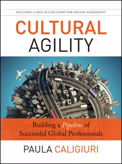 Cultural Agility. Building a Pipeline of Successful Global Professionals, Paula Caligiuri