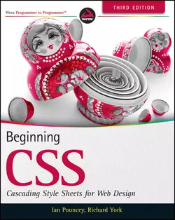 Beginning CSS. Cascading Style Sheets for Web Design Richard York и Ian Pouncey