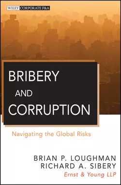 Bribery and Corruption. Navigating the Global Risks, Brian Loughman