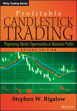 Profitable Candlestick Trading. Pinpointing Market Opportunities to Maximize Profits, Stephen Bigalow