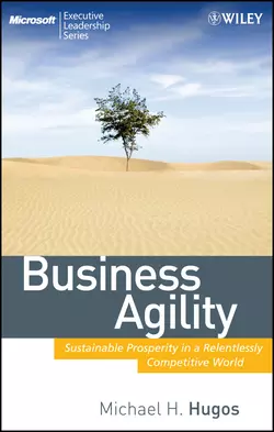 Business Agility. Sustainable Prosperity in a Relentlessly Competitive World, Michael Hugos