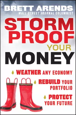 Storm Proof Your Money. Weather Any Economy, Rebuild Your Portfolio, Protect Your Future, Brett Arends