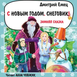 С Новым годом  снеговик! Дмитрий Емец