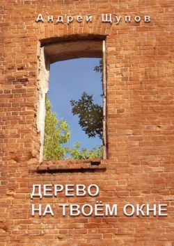 Дерево на твоем окне, Андрей Щупов