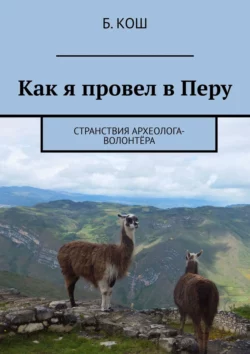 Как я провел в Перу. Странствия археолога-волонтёра, Б. Кош