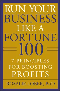 Run Your Business Like a Fortune 100. 7 Principles for Boosting Profits, Rosalie Lober