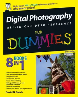 Digital Photography All-in-One Desk Reference For Dummies David Busch