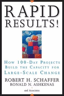 Rapid Results!. How 100-Day Projects Build the Capacity for Large-Scale Change, Рон Ашкеназ