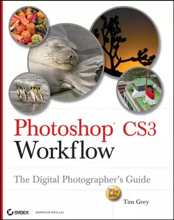 Photoshop CS3 Workflow. The Digital Photographer′s Guide, Tim Grey