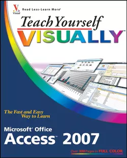 Teach Yourself VISUALLY Microsoft Office Access 2007, Faithe Wempen