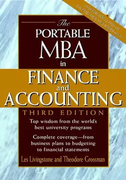 The Portable MBA in Finance and Accounting, Theodore Grossman