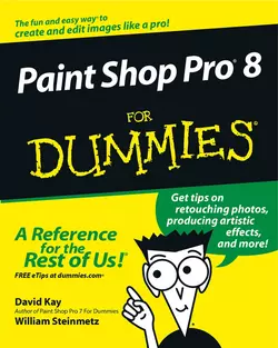 Paint Shop Pro 8 For Dummies, William Steinmetz