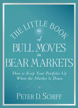 The Little Book of Bull Moves in Bear Markets. How to Keep Your Portfolio Up When the Market is Down, Peter Schiff