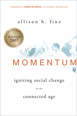 Momentum. Igniting Social Change in the Connected Age, Allison Fine