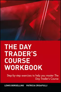 The Day Trader′s Course Workbook. Step-by-step exercises to help you master The Day Trader′s Course, Patricia Crisafulli