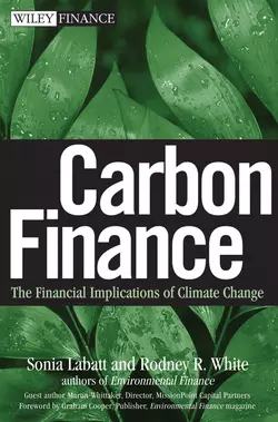 Carbon Finance. The Financial Implications of Climate Change, Sonia Labatt