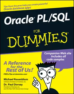 Oracle PL / SQL For Dummies, Michael Rosenblum