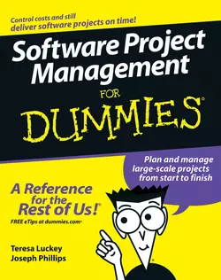 Software Project Management For Dummies, Joseph Phillips