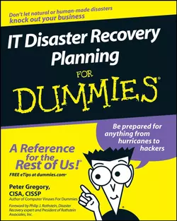 IT Disaster Recovery Planning For Dummies, Peter Gregory