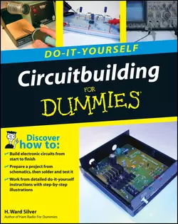 Circuitbuilding Do-It-Yourself For Dummies H. Silver