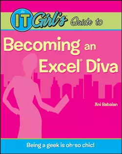 The IT Girl′s Guide to Becoming an Excel Diva, Ani Babaian