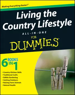 Living the Country Lifestyle All-In-One For Dummies Tracy Barr