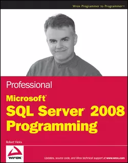 Professional Microsoft SQL Server 2008 Programming, Robert Vieira