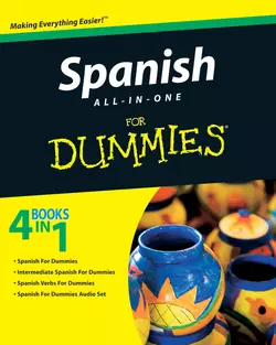 Spanish All-in-One For Dummies, Consumer Dummies