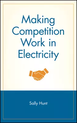 Making Competition Work in Electricity, Sally Hunt