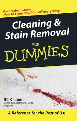 Cleaning and Stain Removal for Dummies, Gill Chilton