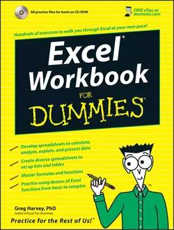 Excel Workbook For Dummies, Greg Harvey