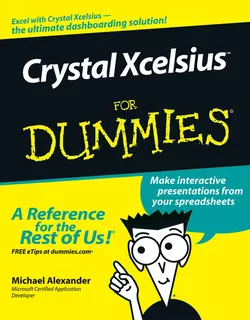 Crystal Xcelsius For Dummies, Michael Alexander