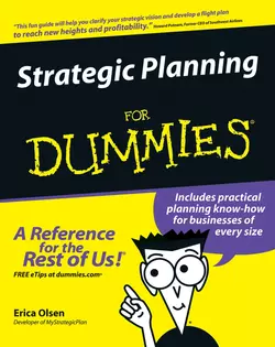 Strategic Planning For Dummies Erica Olsen