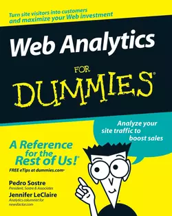 Web Analytics For Dummies, Pedro Sostre