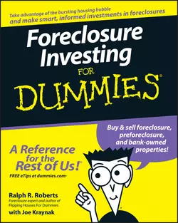 Foreclosure Investing For Dummies, Joseph Kraynak